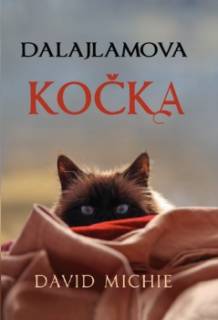 807-dalajlamova-kocka.jpg