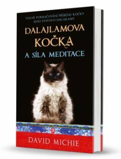 811-dalajlamova-kocka-a-sila.jpg