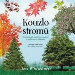 886-kouzlo-stromu.jpg